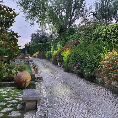 Homestay Quinta N. Sra. Da Conceicao Belas
