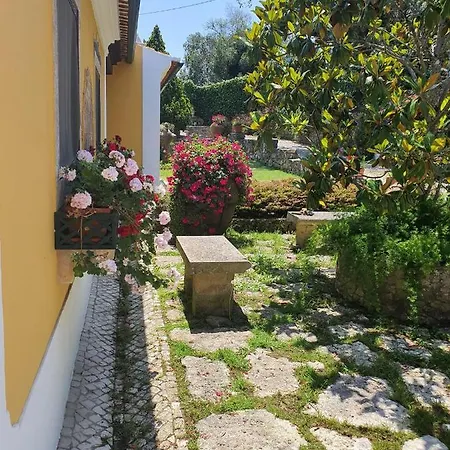 Quinta N. Sra. Da Conceicao *